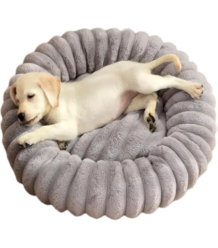 ペット用ベット 楽天市場】送料無料 ドーム型ペットベッド ペットベッド 犬用ベッド 猫